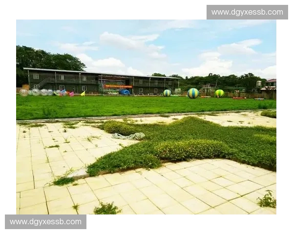 运动动力包全面解析激发训练潜能提升体能表现与日常运动活力指南